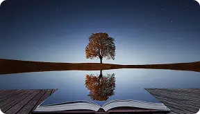 Peaceful reflection at sunrise over water